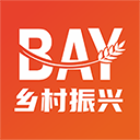 br4bet casino截图