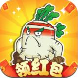 spicys.bet casino截图